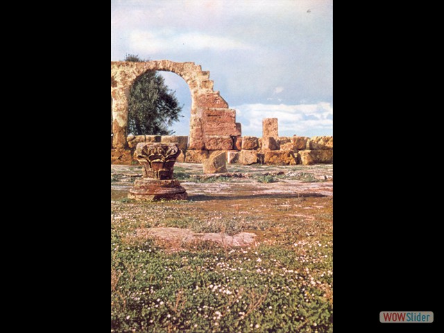 Les ruines de Tipasa
